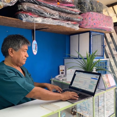 Un médico veterinario trabaja con muvets en el mostrador de su clínica.